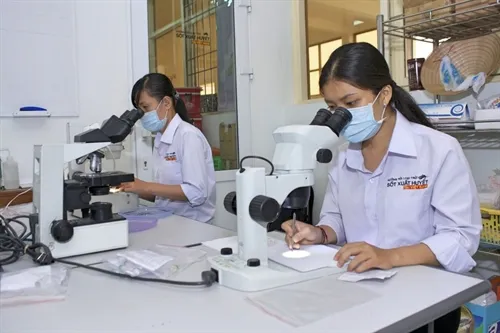 Việt Nam, Australia exchange medical knowledge on health services