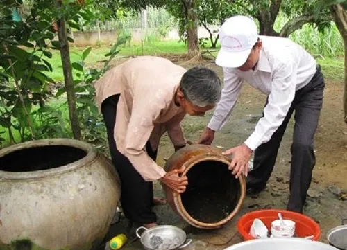 Đắk Nông battles dengue fever surge