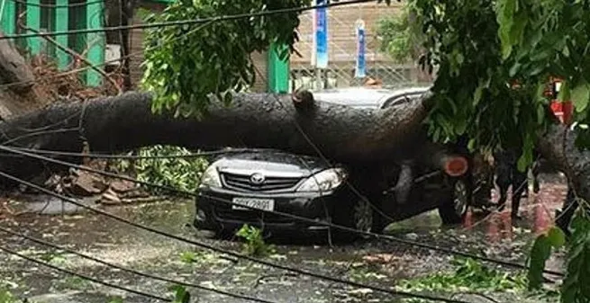 Typhoons caused $297 million losses, forecast system needs improvement