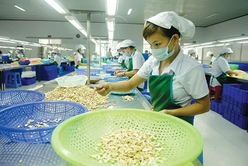 Việt Nam sees enterprise growth