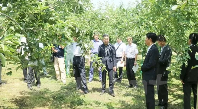 Conference on VN-Japan potential