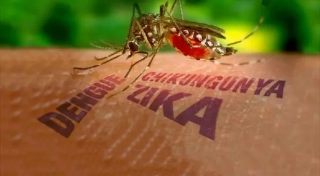 Việt Nam prepares to fight Southeast Asia Zika boom