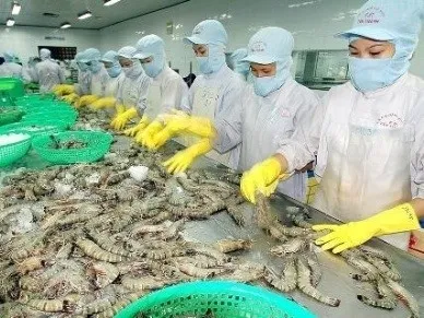 Seafood exports benefit most from Việt Nam-EAEU FTA