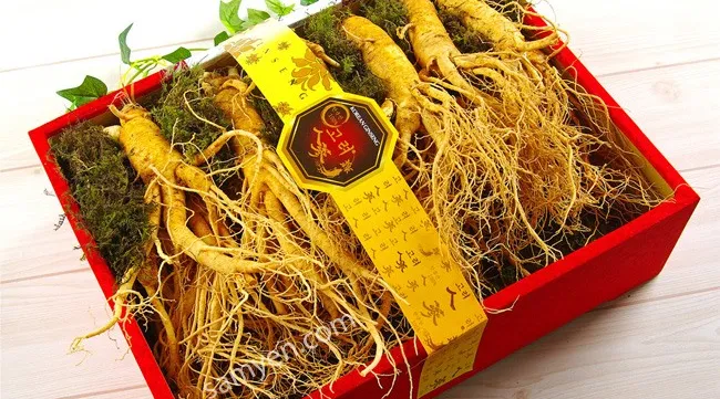 Vietnamese, South Korean businesses to boost agri-product trading