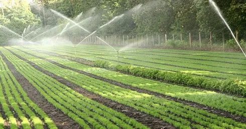 Ninh Thuan farmers benefit from modernised irrigation technology