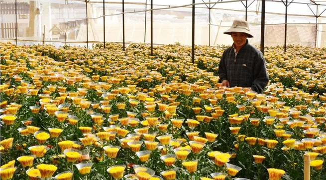 New policies on high-tech agriculture