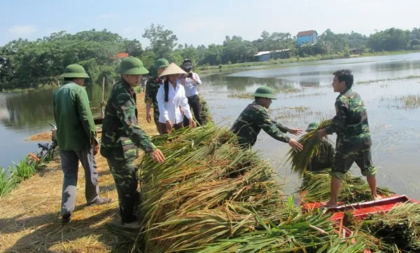Overcoming agricultural losses caused by floods
