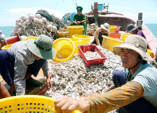 Total seafood exports to reach 7.12 billion USD