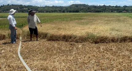 Water resources managed in drought season