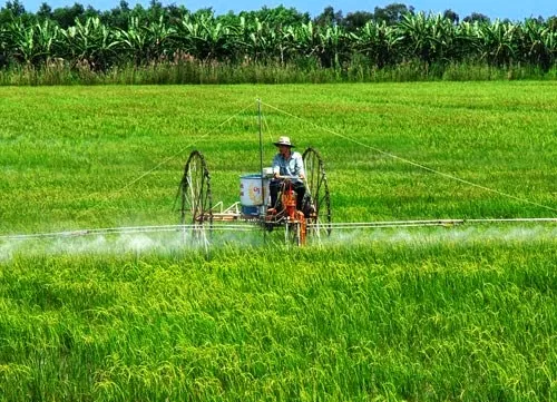 Thanh Hoa province yields success from organic farms