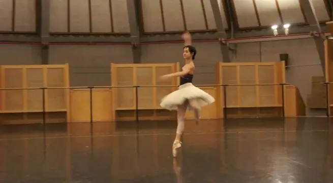 Top ballerinas perform in Vietnam