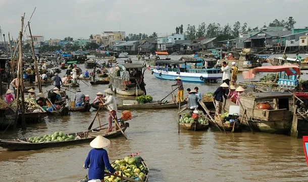 Vinh Long faces serious salinisation