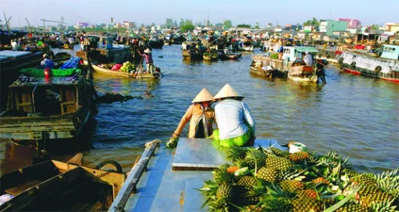 Mekong Delta infrastructure developed