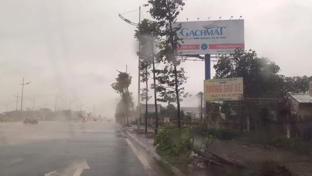 Typhoon Wreaks Havoc