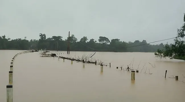 Heavy rains left  2,800 households flooded and widespread damage in Ha Tinh