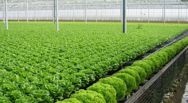 Capital needed for high-tech farming