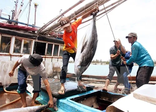 Thailand to receive Vietnamese workers for fishing, construction