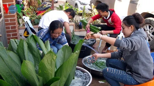 Vietnamese in Laos welcome Tet