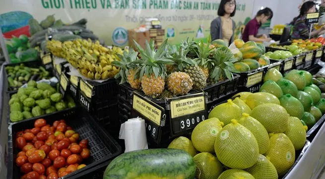 Green urban agriculture benefits