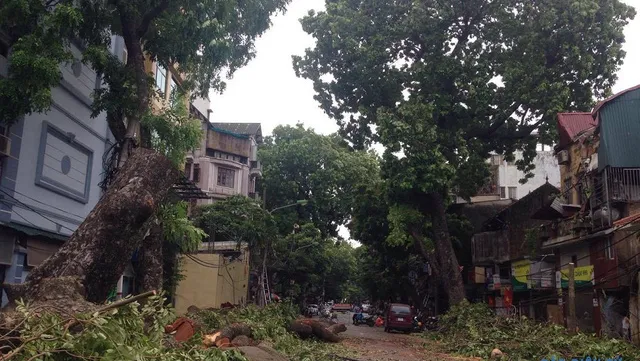 Power grid recovers post-typhoon