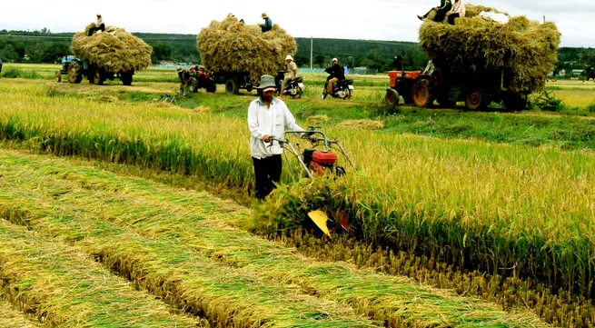 Mixed fortunes predicted for main agri-exports