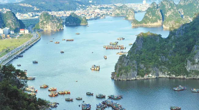 VN hosts ‘environmentally sustainable city' talks