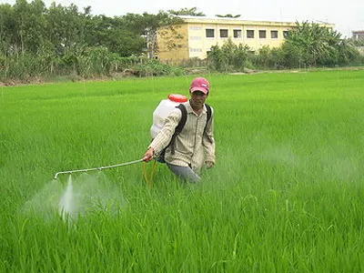 Organic pesticide introduced in Soc Trang