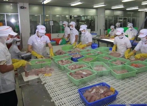 Vietnam’s Tra fish authorities to reduce regulatory complications for exporters