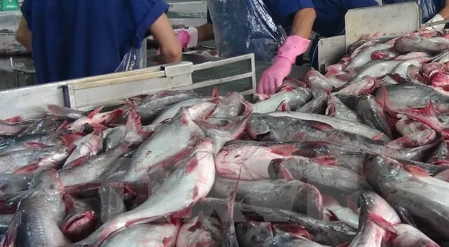 US Senators move to nullify new catfish inspection rules