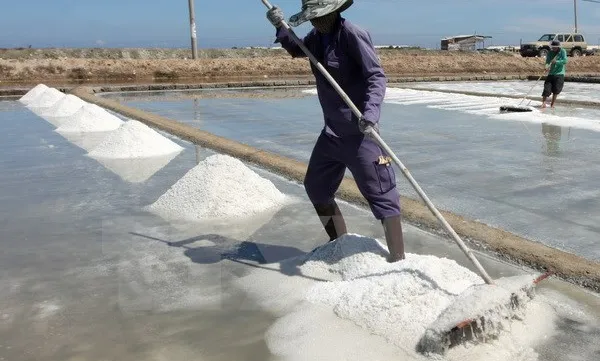 Quang Nam mitigates salination, drought threat