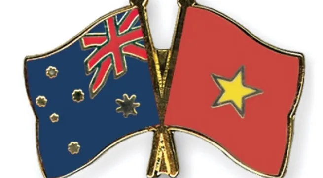 Vietnam, Australia foster joint medical research
