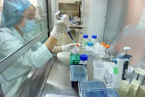 Vietnam successfully produces Porcilis PRRS vaccine