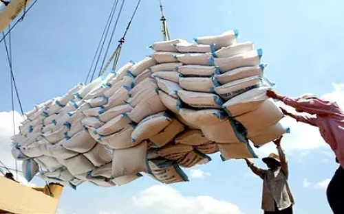 Vietnam’s rice exports surge in February