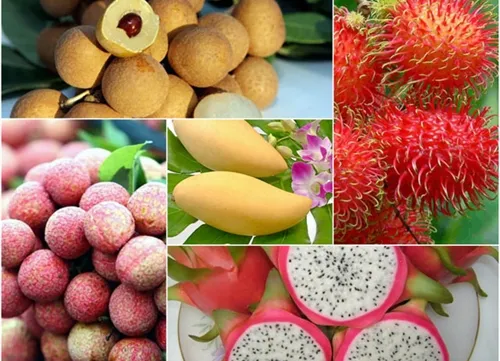 Fruit, vegetable export value up in H1