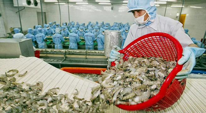 Shrimp exports to EU sharply increase