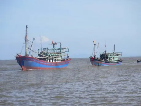 PM orders urgent actions to curb illegal fishing