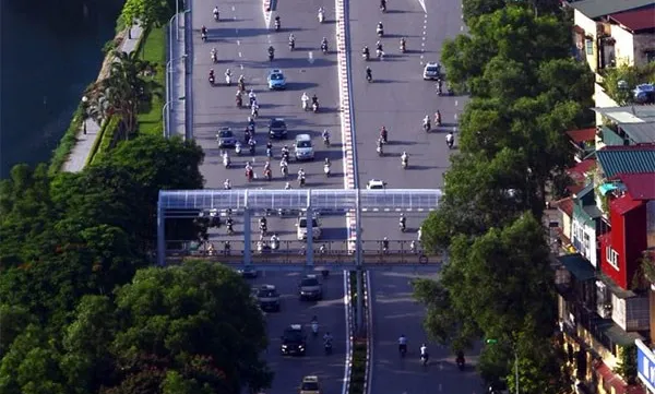 Hanoi may replace 4,000 African mahogany trees