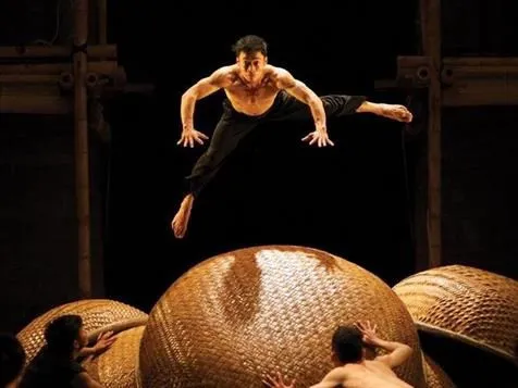 Vietnamese circus dance delights Australian audiences