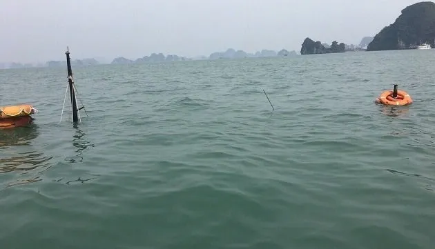 Quang Ninh: ship sinks, all 31 Chinese tourists saved