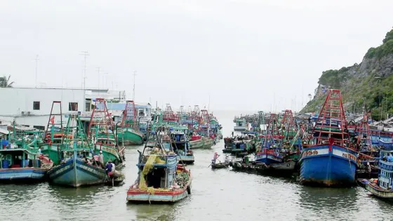 Mekong Delta suffers flood damage