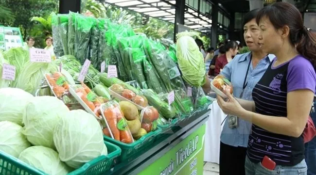 New impulse for Vietnam-EU relations