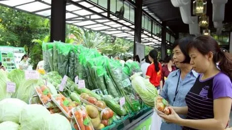 First agricultural trade fair opens in An Giang