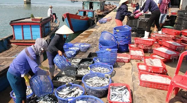 Exports of aquatic products estimated at 4.3 bln USD