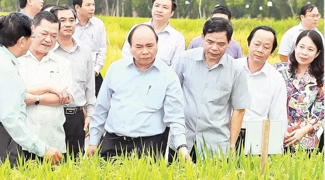 An Giang province urged to mull exporting high-quality food