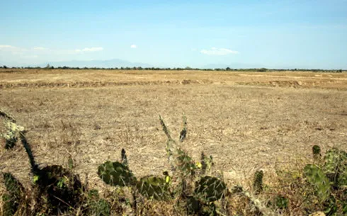 El Nino may fuel sizzling summer, frequent showers