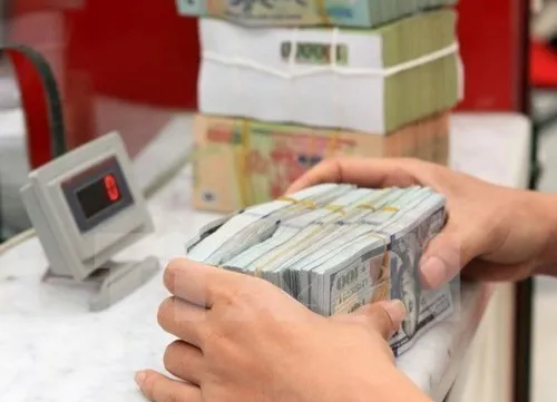 Reference exchange rate up 3 VND