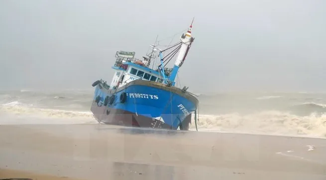 Storm Damrey makes landfall in south central coast