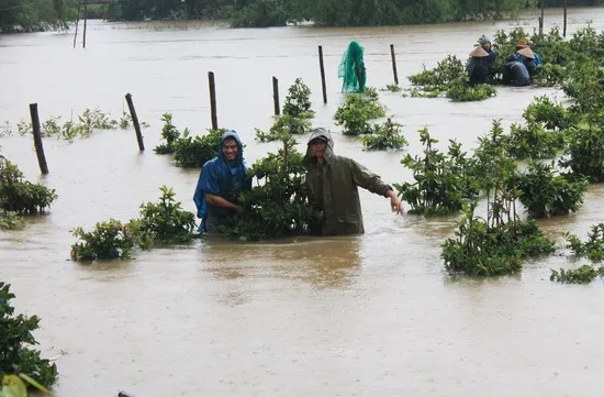 Quang Ngai relocates residents of landslide-prone areas