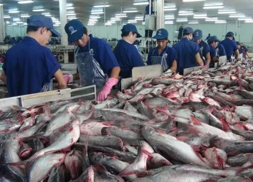 Measures to boost tra fish exports to the US