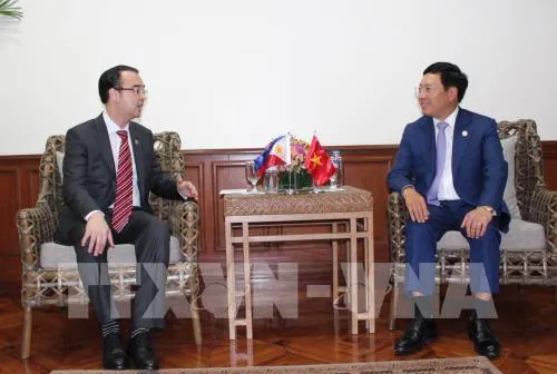 FM Pham Binh Minh holds bilateral meetings